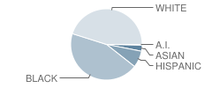 Kimmel Farm Elementary School Student Race Distribution