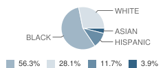 The Academy at High Point Central Student Race Distribution