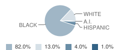 Hertford County Early College School Student Race Distribution