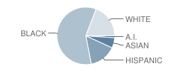 Belmeade Drive Elementary School Student Race Distribution