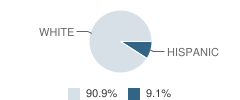 Mayland Early College School Student Race Distribution