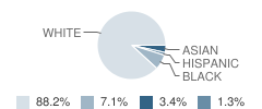 Rea View Elementary School Student Race Distribution