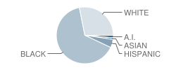 College Lakes Elementary School Student Race Distribution