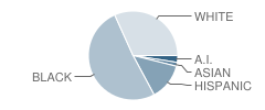 Cumberland Mills Elementary School Student Race Distribution