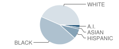 South View High School Student Race Distribution