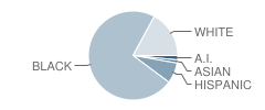 Warrenwood Elementary School Student Race Distribution