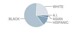 Bill Hefner Elementary School Student Race Distribution