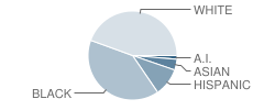 E Melvin Honeycutt Elementary School Student Race Distribution