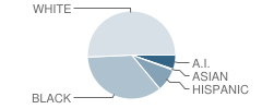 C Wayne Collier Elementary School Student Race Distribution