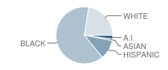 Ireland Drive Middle School Student Race Distribution