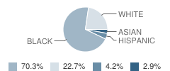 Falkland Elementary School Student Race Distribution