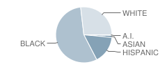 Grove Park Elementary School Student Race Distribution