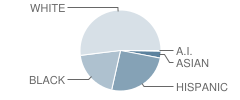 Asheboro High School Student Race Distribution