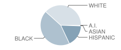 John C Tayloe Elementary School Student Race Distribution