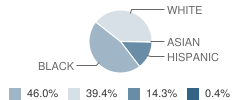 John Small Elementary School Student Race Distribution