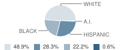 Dublin Primary School Student Race Distribution