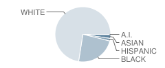 Oak Hill Elementary School Student Race Distribution