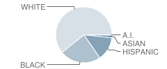 R B Mcallister Elementary School Student Race Distribution