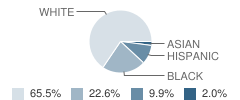 William Lenoir Middle School Student Race Distribution