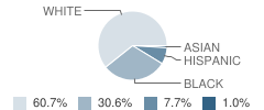 North Elementary School Student Race Distribution