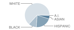 Harry M Arndt Middle School Student Race Distribution