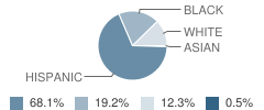 Chatham Middle School Student Race Distribution