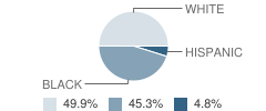 White Oak Elementary School Student Race Distribution