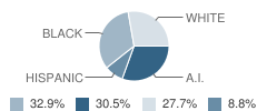 Hallsboro-Artesia Elementary School Student Race Distribution