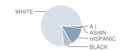 Hasty Elementary School Student Race Distribution