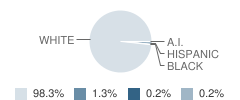 South Davidson High School Student Race Distribution