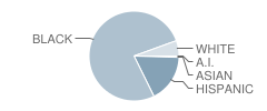 Southern High School Student Race Distribution