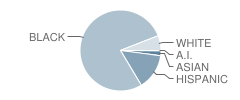 W G Pearson Elementary School Student Race Distribution
