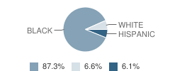 North Edgecombe High School Student Race Distribution