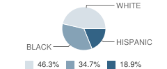 Children's Center School Student Race Distribution