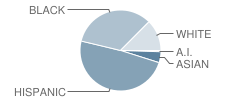 Griffith Elementary School Student Race Distribution