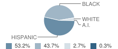 Hill Middle School Student Race Distribution