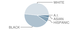 Mount Tabor High School Student Race Distribution