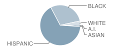 Old Town Elementary School Student Race Distribution