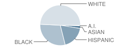 Sedge Garden Elementary School Student Race Distribution