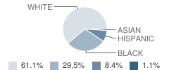 Youngsville Elementary School Student Race Distribution