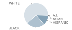 Royal Elementary School Student Race Distribution