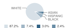 J B Page Elementary School Student Race Distribution