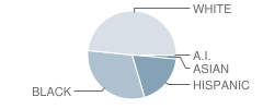 Butner-Stem Elementary School Student Race Distribution