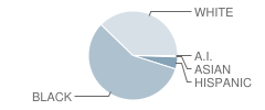 J F Webb High School Student Race Distribution