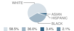 General Greene Elementary School Student Race Distribution