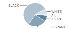 Clara J Peck Elementary School Student Race Distribution