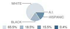 Monticello-Brown Summit Elementary School Student Race Distribution