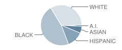 Eastern Middle School Student Race Distribution