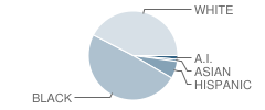 Sedalia Elementary School Student Race Distribution