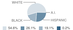 Boone Trail Elementary School Student Race Distribution
